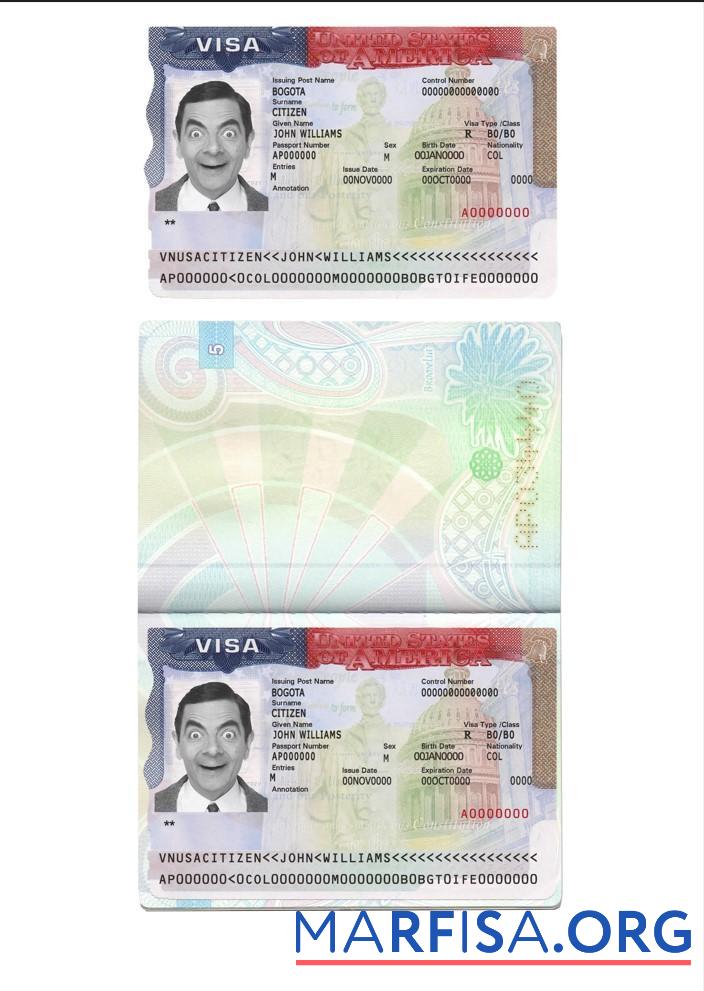 Realistic Usa Tourist Visa real example